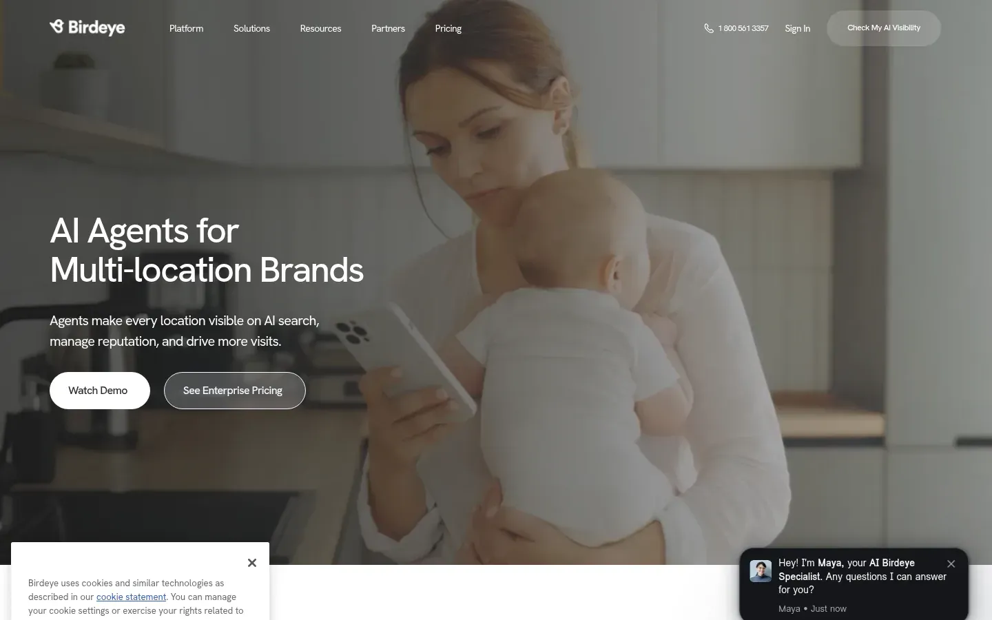 Birdeye homepage