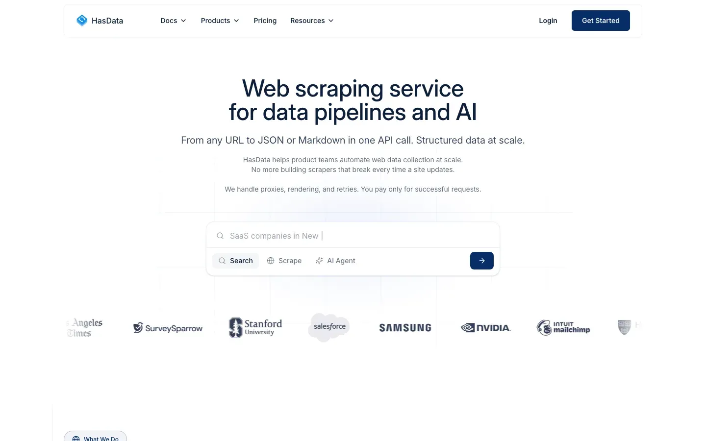 HasData homepage